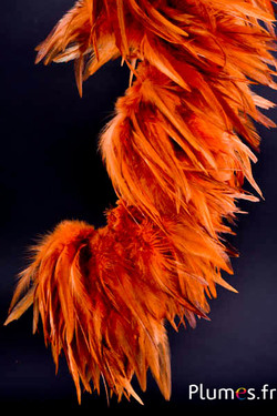 Franje haan - veerlengte 10-15 cm - wilde gloed